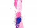 cactusFlower_untitled50