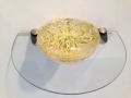 Shasta Daisy video prop embedded in acrylic resin, rymer Gallery exhibition, 2014
