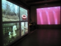 Curatorial_SpacePlaceInt_6