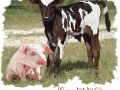 mybabies_150