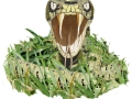 snake