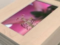 IntelligentDesign_BoxSetsummer