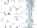 DrippingTree_WhisperingPause_web