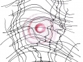 Cactusflower_targetnet
