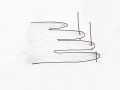 cactusflower_needles_web