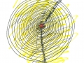cactusflower_target_web