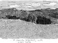 ChasingTarzan_NZsheep_book_300