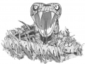 ChasingTarzan_Snake_book_300