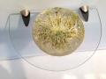 Shasta Daisy video prop embedded in acrylic resin, rymer Gallery exhibition, 2014