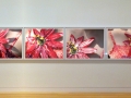 flowerGirl_PassionFlowerinstal_web