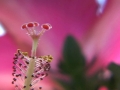 Exhibitions_HPAC_videostill