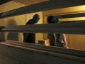 HPAC_insidecabin