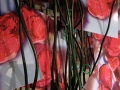 LAL_berries_web