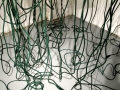 LAL_cords_web