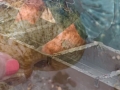 MINE-? video still