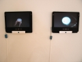 Curatorial_NotionsWilderness3