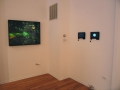 Curatorial_NotionsWilderness7