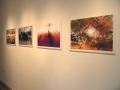 Curatorial_NotionsWilderness9
