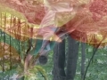 ONE-MASTER_flower