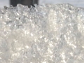 ReagansChildren_snowonscreen