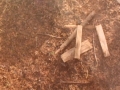 wood