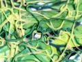 TheyCAllTheirs_10VinesWall_lg