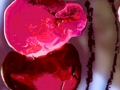 TheyCAllTheirs_Berries7_lg