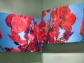 TheyCAllTheirs_NatuerMus_maples_2