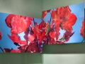 NatuerMus_maples_web