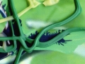 NatuerMuse_Vines_detail_web