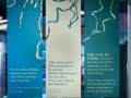 NatureMus_signs_web